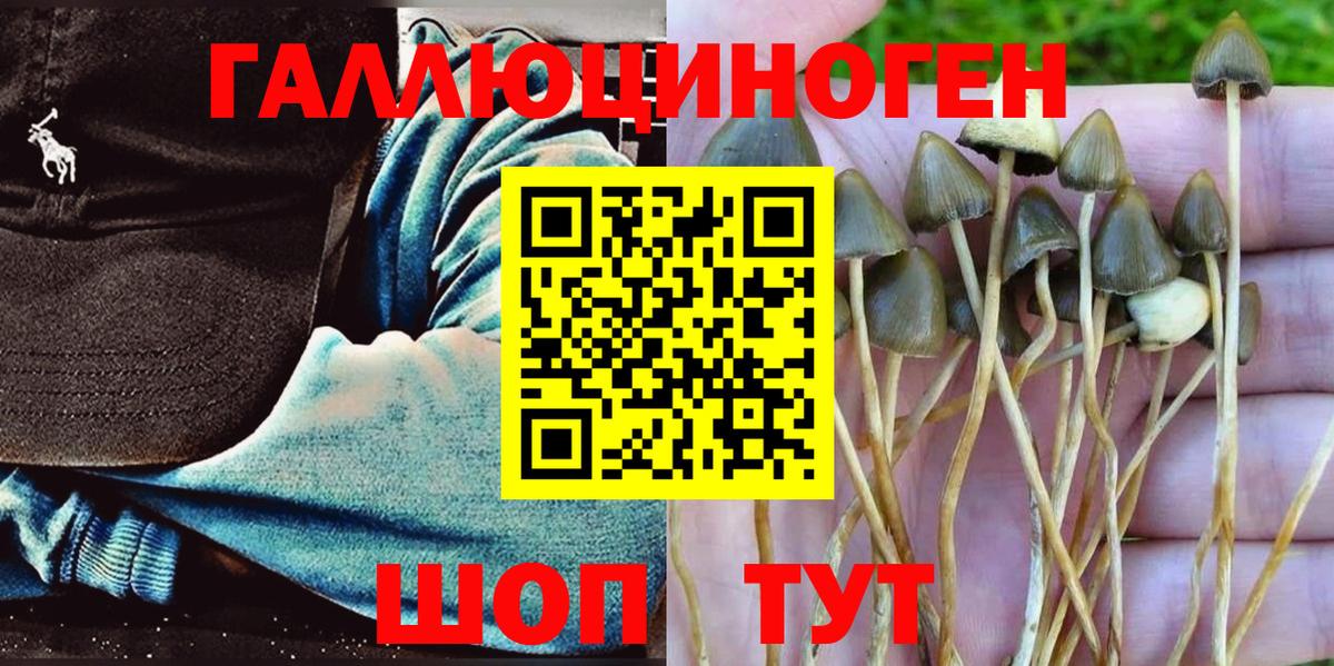 где купить наркотик  Псилоцибиновые грибы MAGIC MUSHROOMS  Вход с VPN  Ярцево 