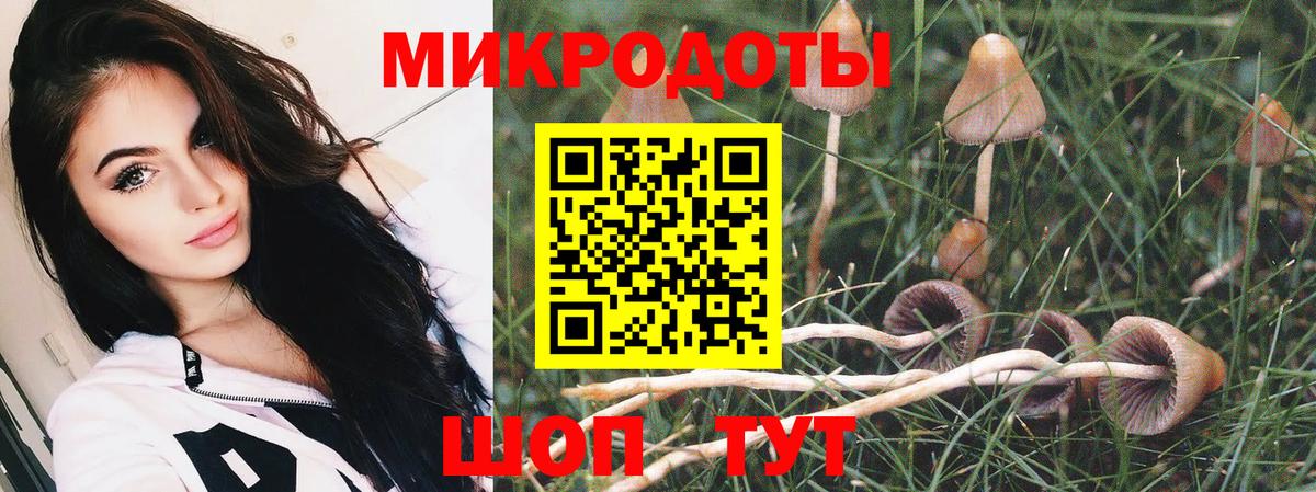 Галлюциногенные грибы прущие грибы Ярцево