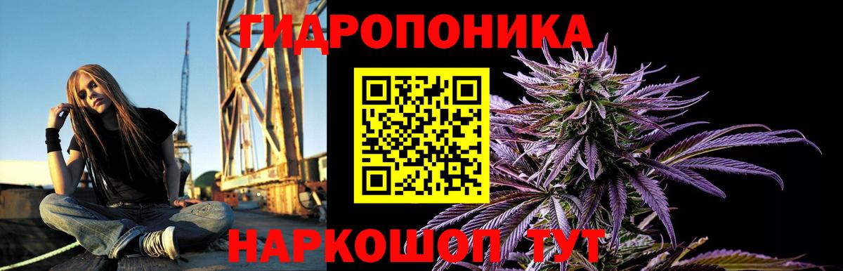 Канабис OG Kush  Канабис планчик  Ярцево  Марихуана AK-47  Вход с VPN 